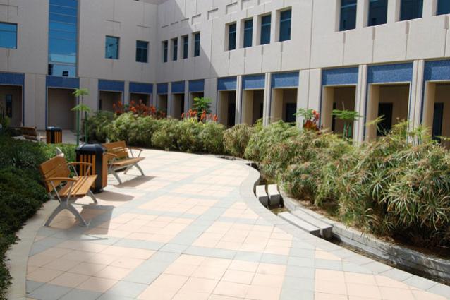 Classroom courtyards between the colleges help incorporate natural light and water features into the facility in different ways