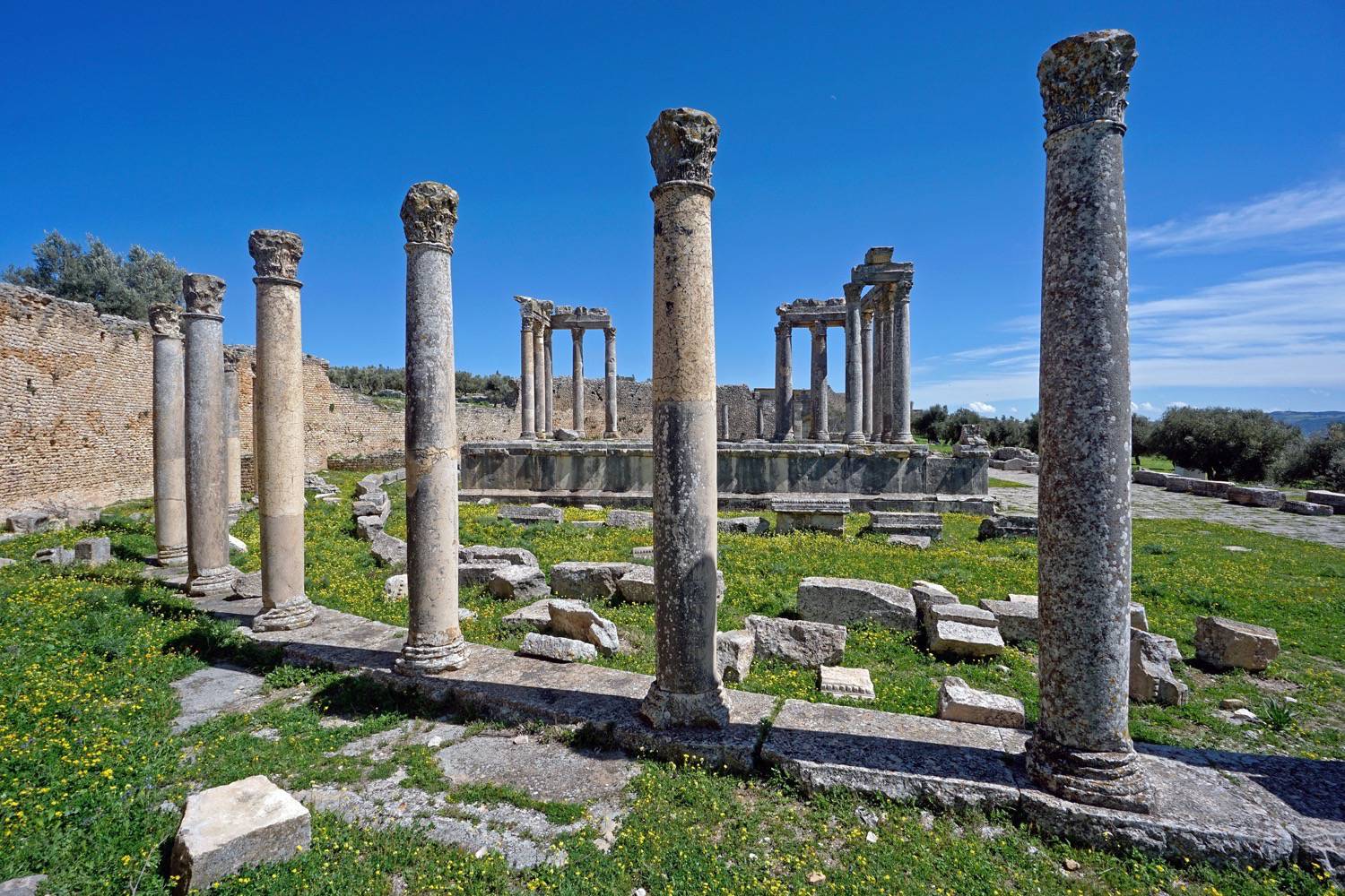 Temple of Junon Celestis  - The columns of the exedra of Junon Caelestis' temple