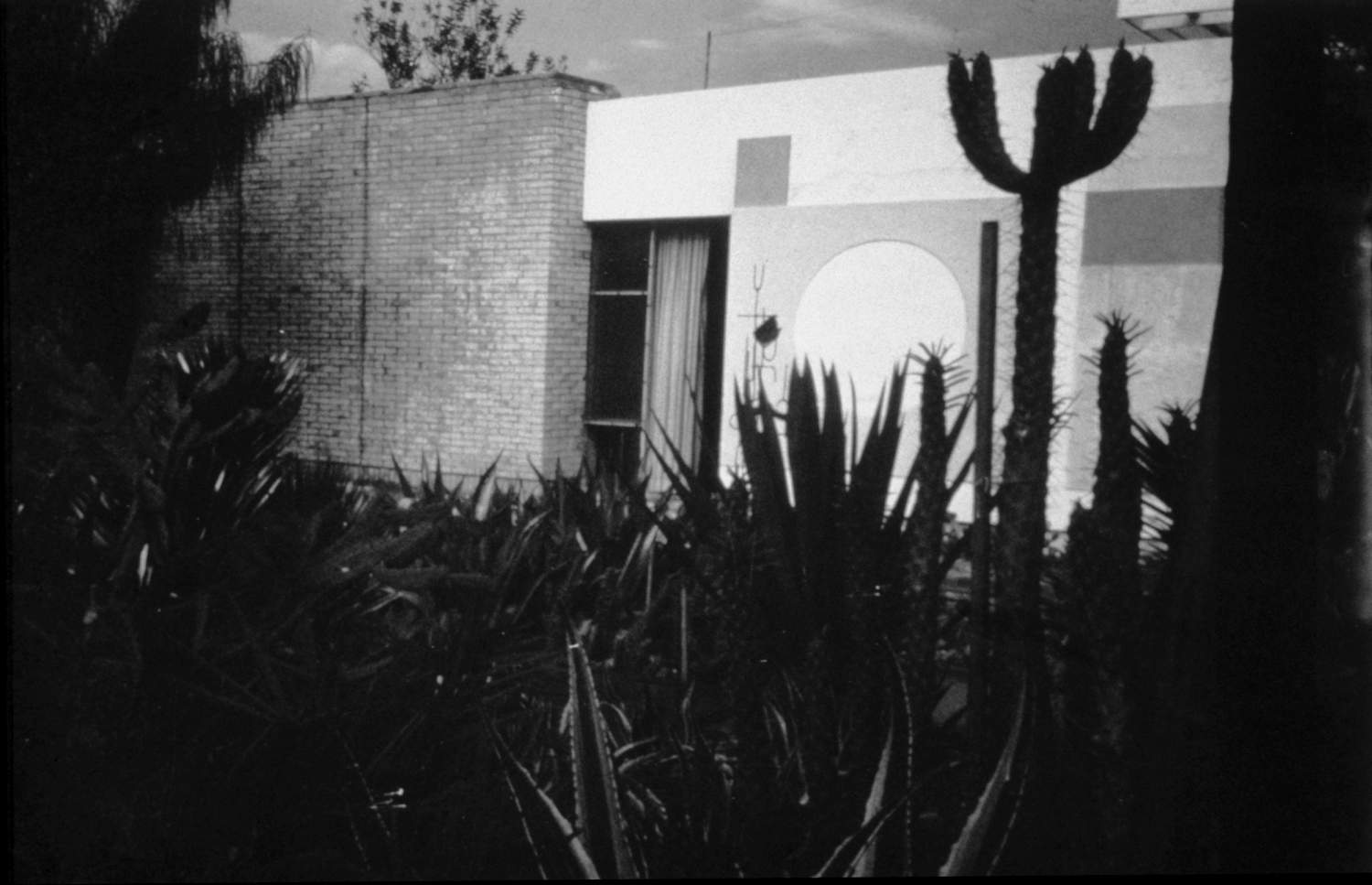 Makiya Family Residence (Mansour, Baghdad) - <p>View of front wall with Ben Nicholson mural behind the cactus garden.</p>