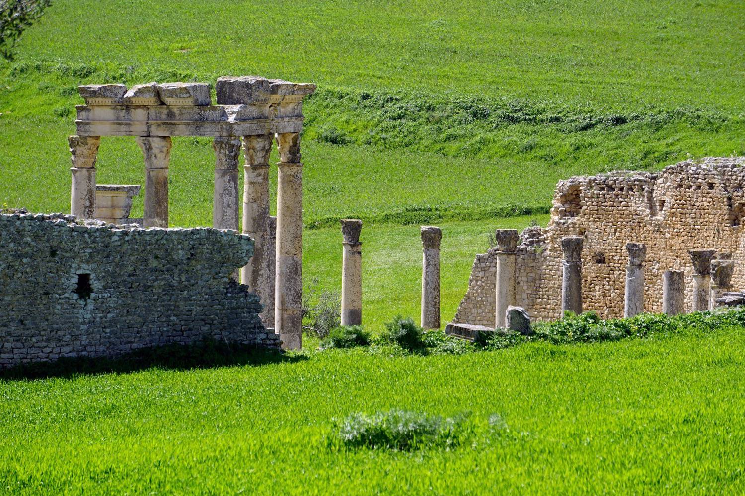 The columns of Junon Caelestis' temple in the countryside