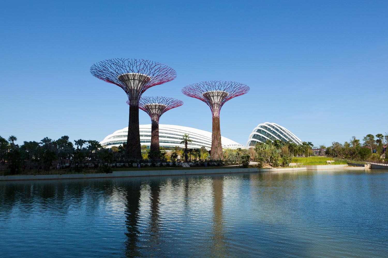 Cooled Conservatories, Gardens by the Bay - View of the Cooled Conservatories and Supertrees