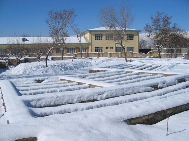 Foundation in winter