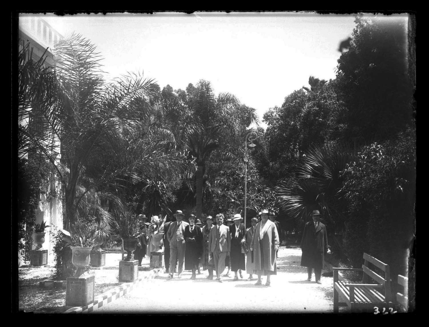 A group in European stroll among the palm trees.