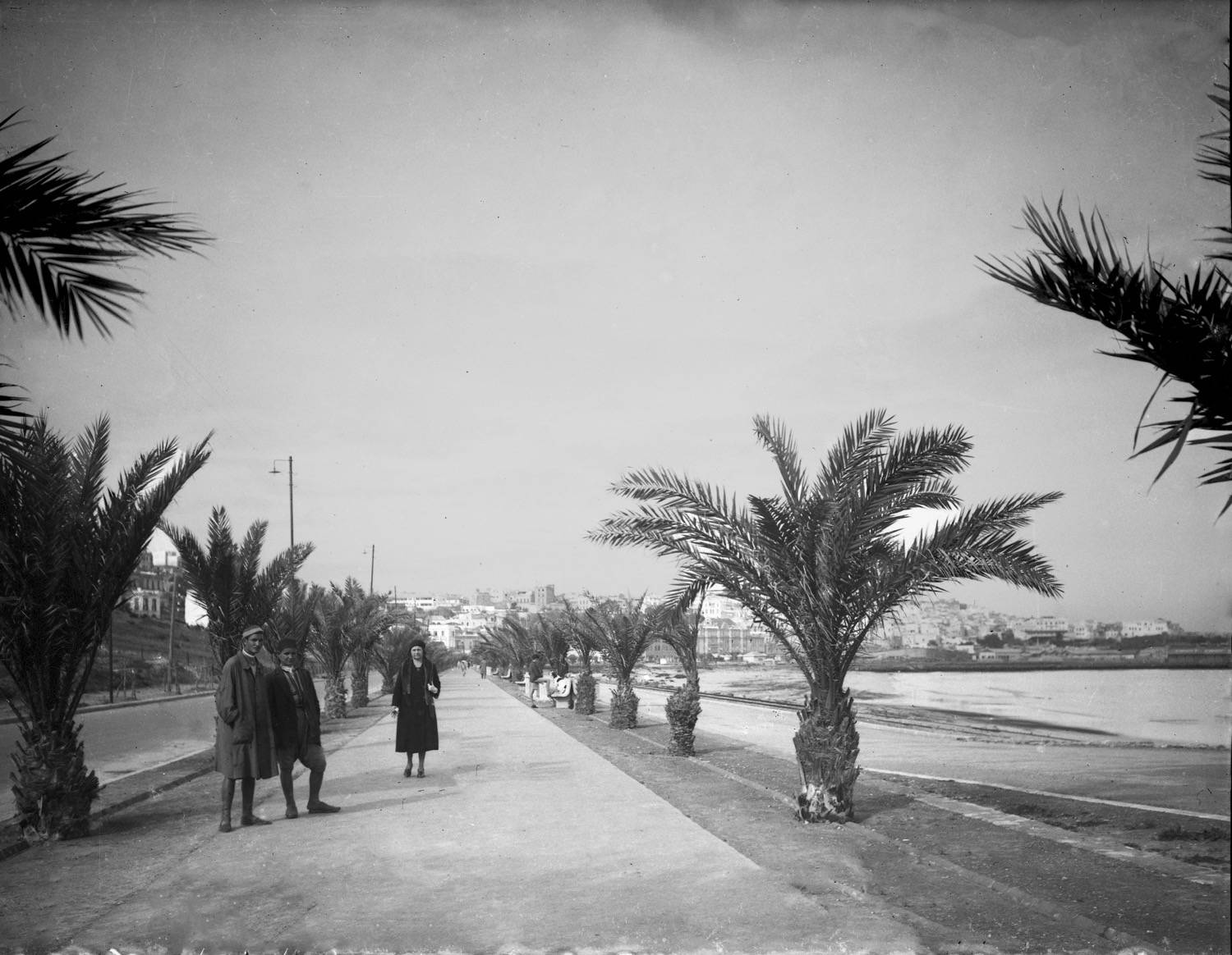 Avenue Mohammed VI - View down the Avene Mohamed VI