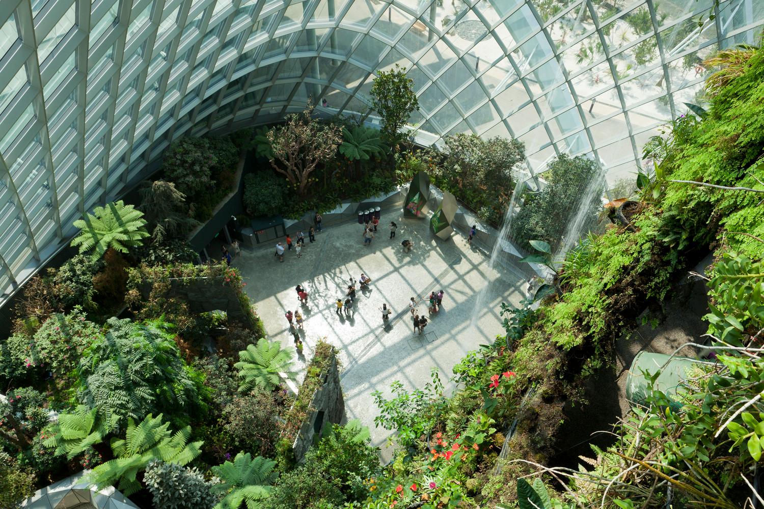 Cooled Conservatories, Gardens by the Bay - View from the mountain in the Cloud Forest