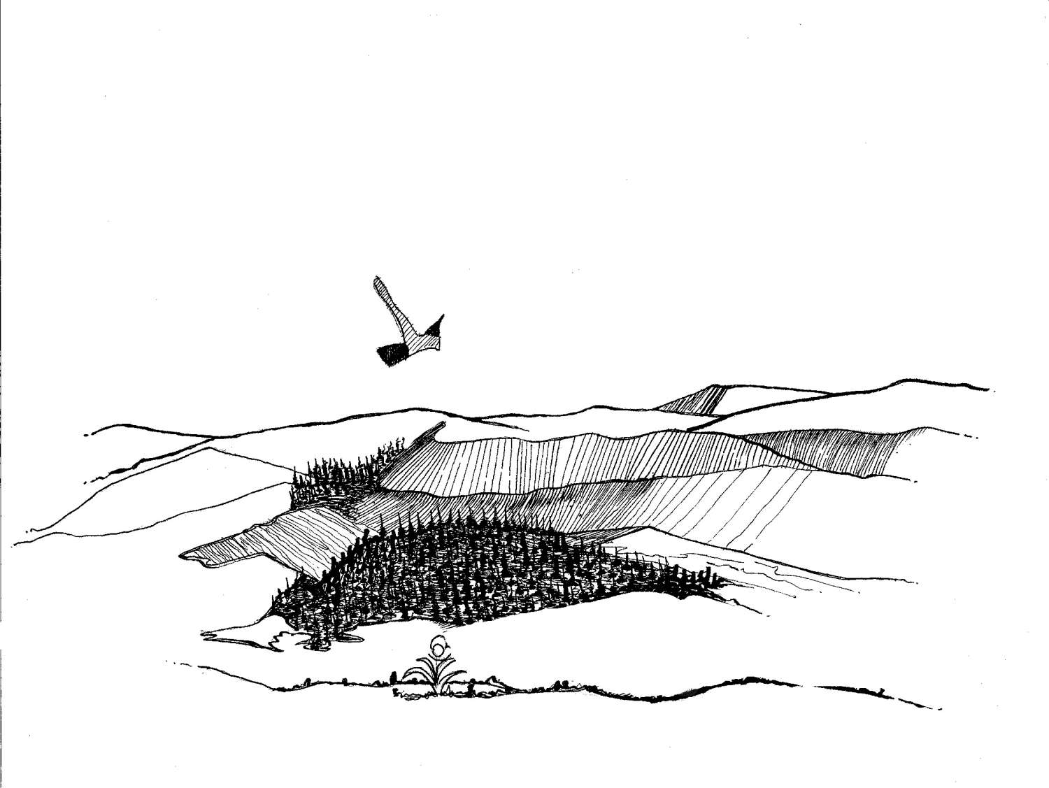 Sketch of Alamut.