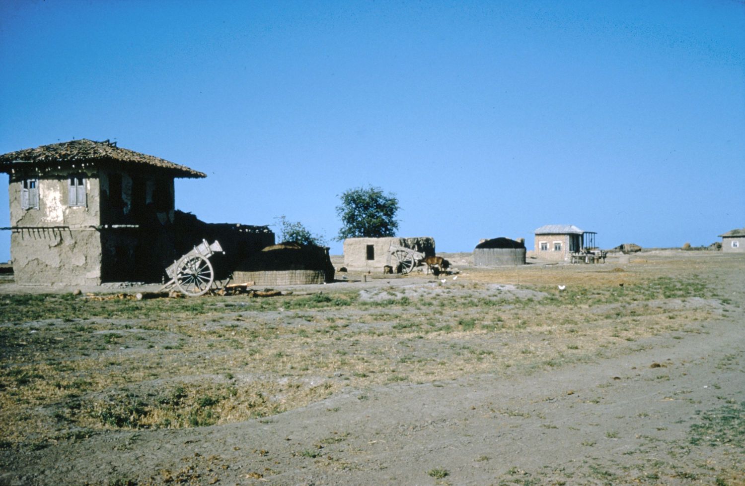 View of Turkoman tents near Gunbad-i Kavus (Gurgan), Iran.
