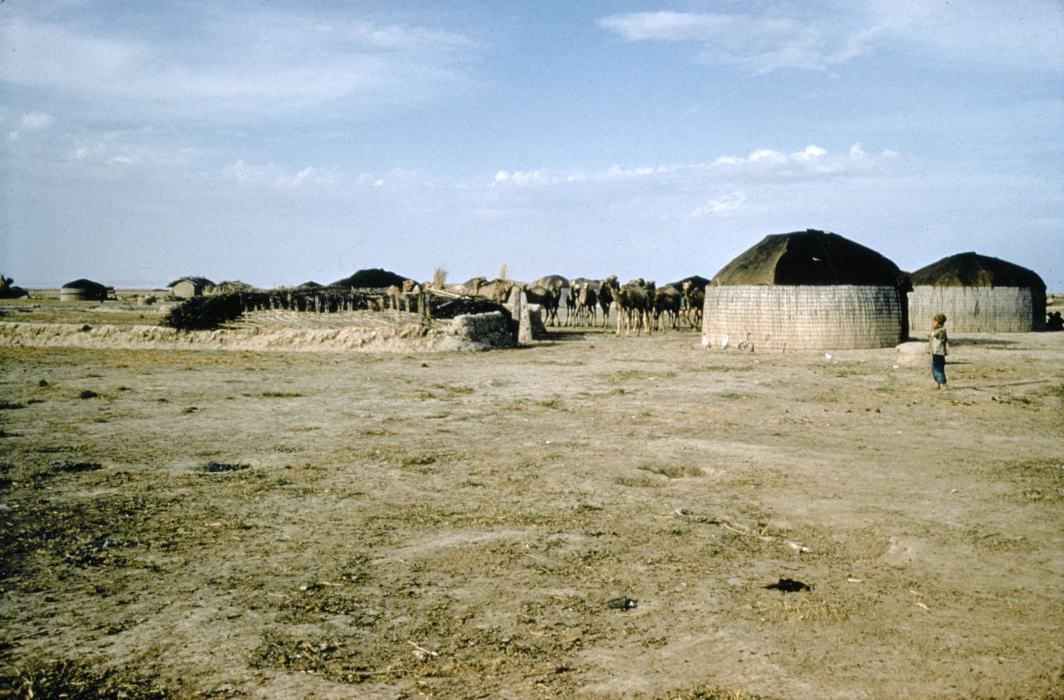 View of Turkoman tents near Gunbad-i Kavus (Gurgan), Iran.