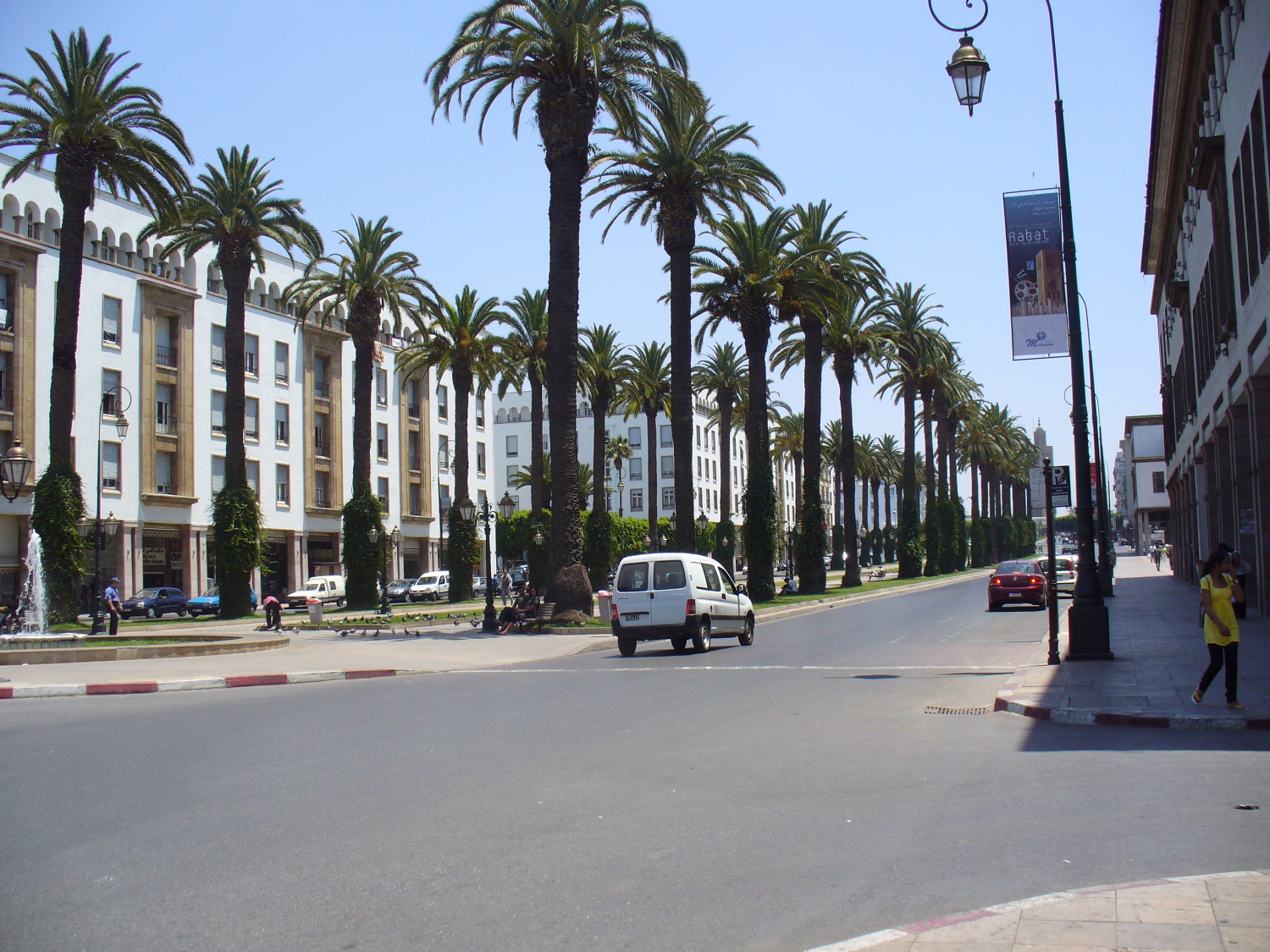 <p>Palm-lined streetscape</p>