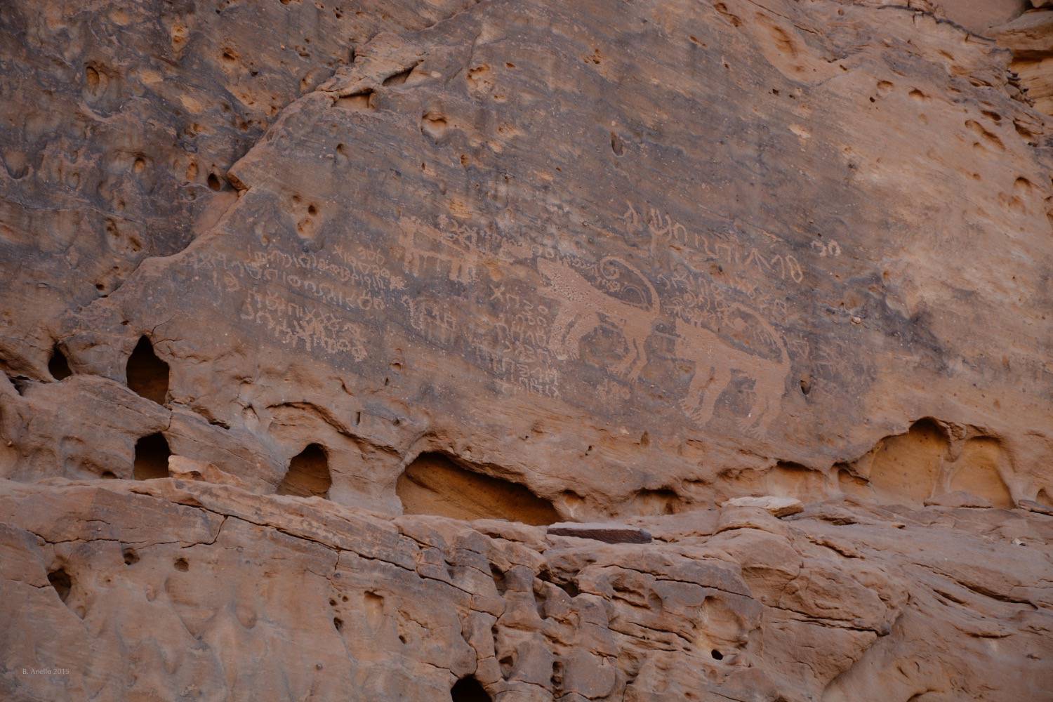 Detail of rock art