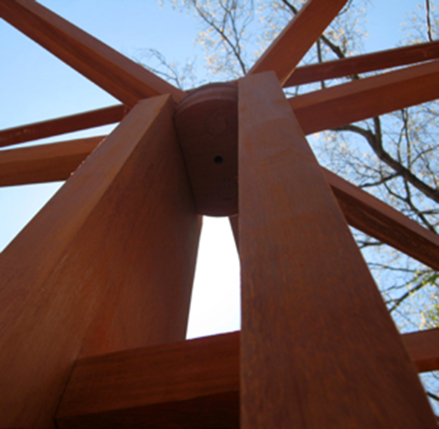 Bottom view of structural “trees” 