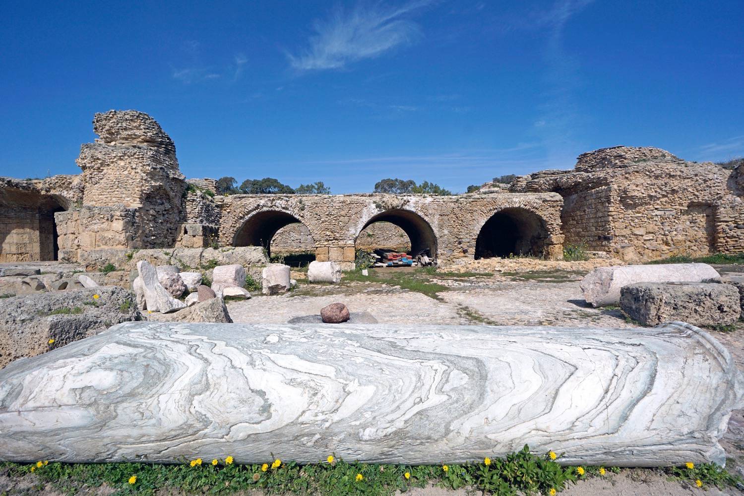 A column of "cipolin" inside the Thermes of Antoninus Pius