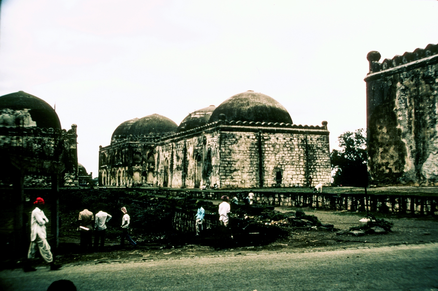 General view of tombs