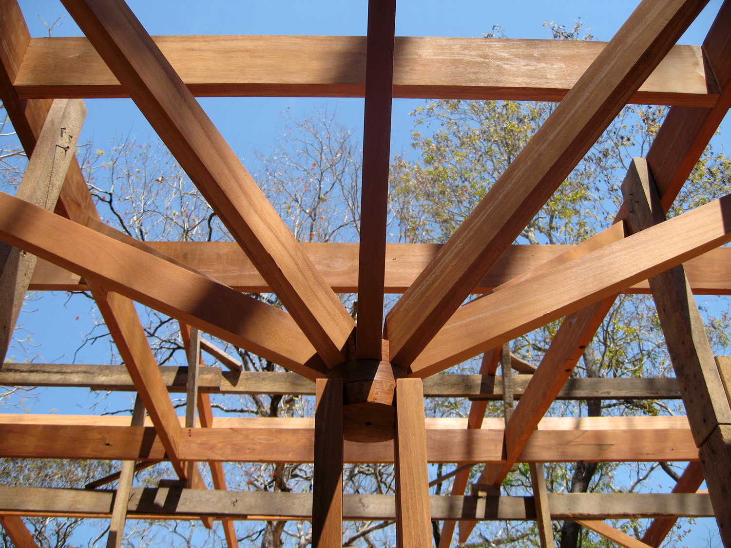 Structural “trees” that hold up the pergolas and the roofs  