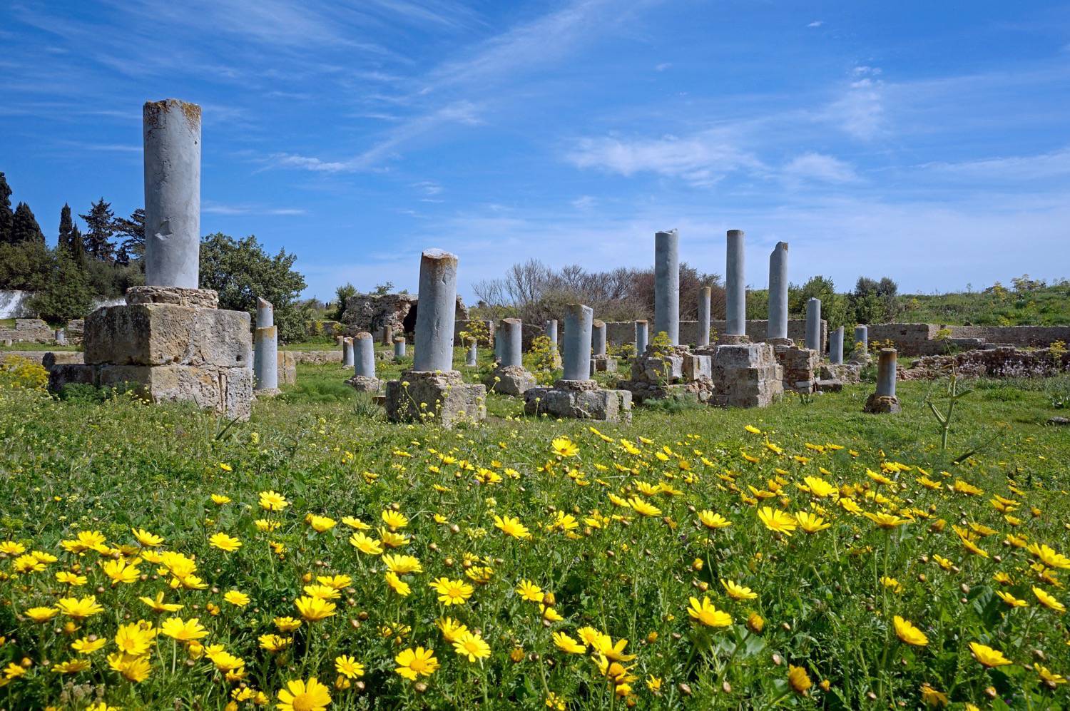 The columns of Damous El Karita Basilic