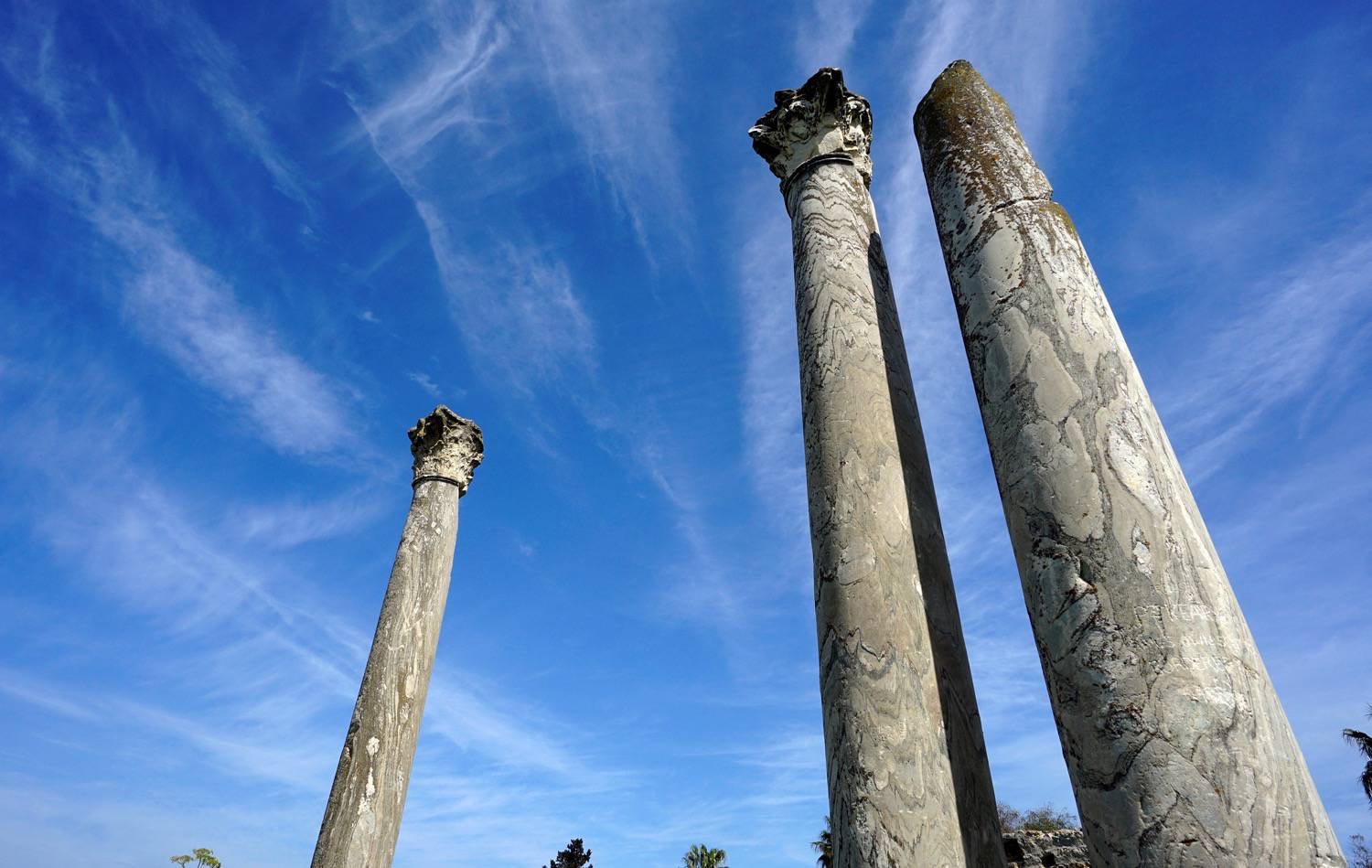 The columns of "cipolin" of the Esculape Temple