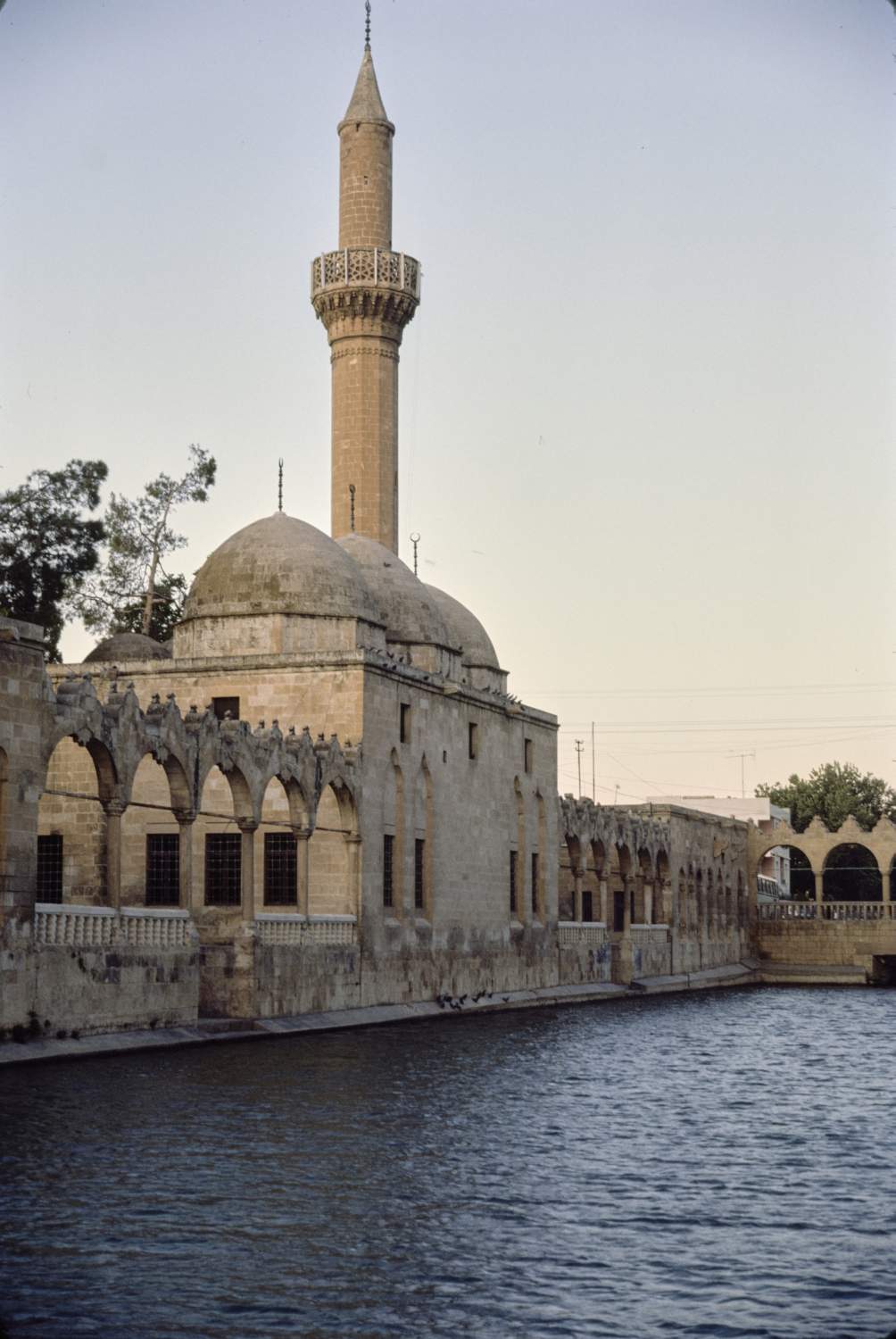 Mosque next to Pool