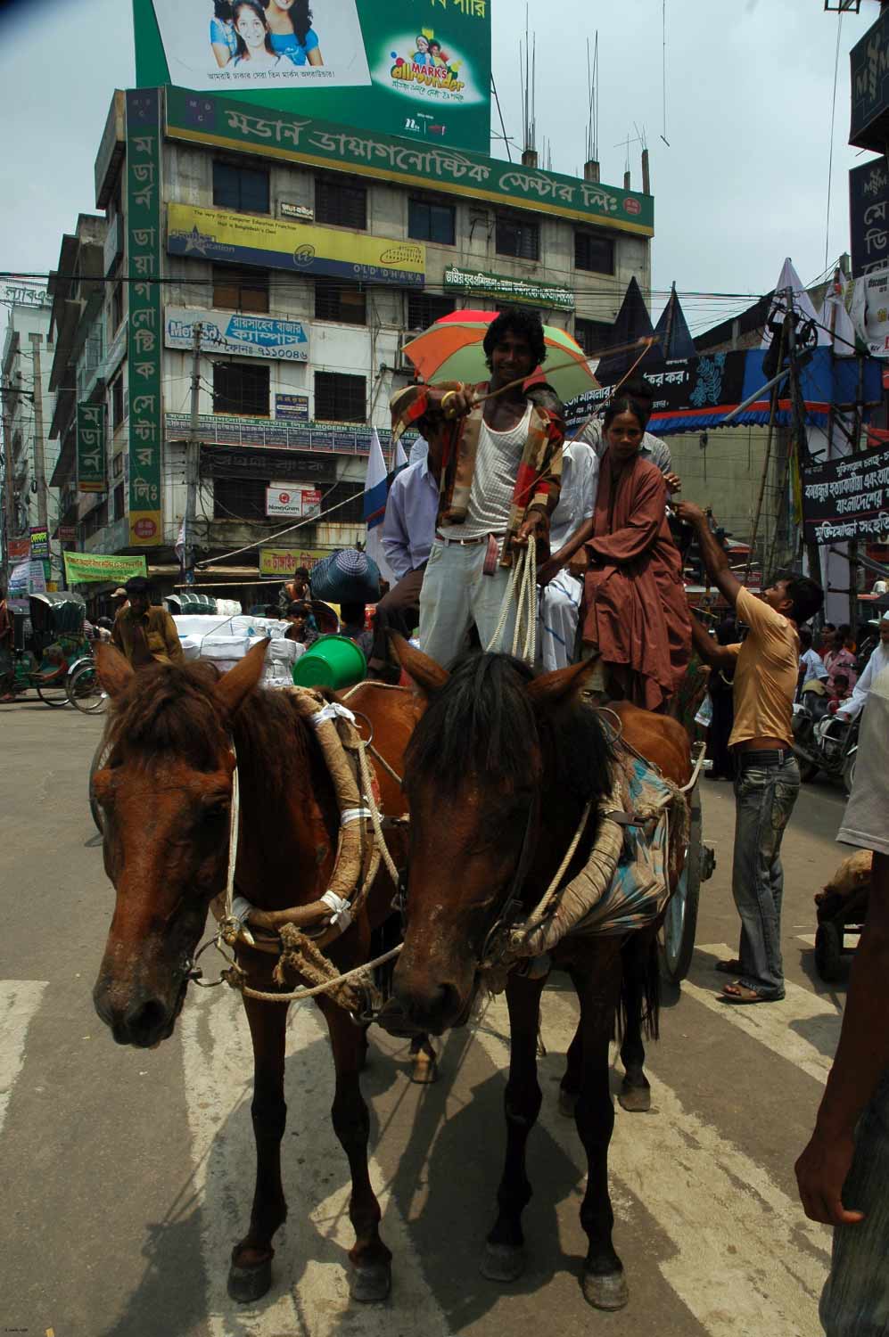 Horses pulling a carriage on a Dhaka street