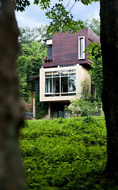 Ambi House - House framed between two forest trees
