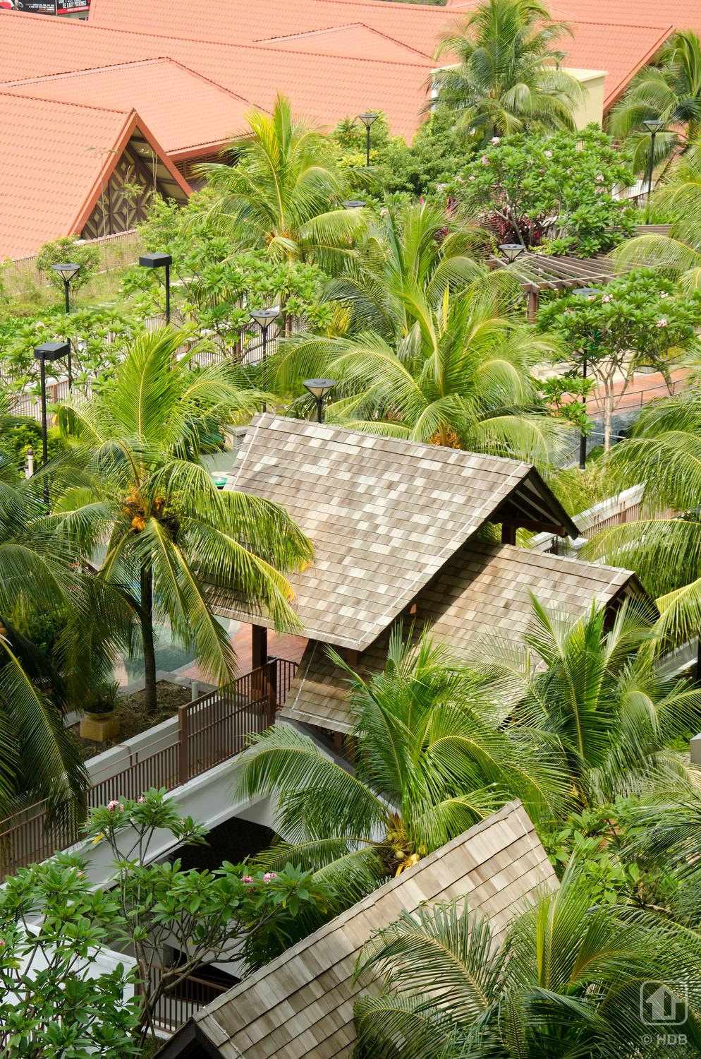 Roof garden