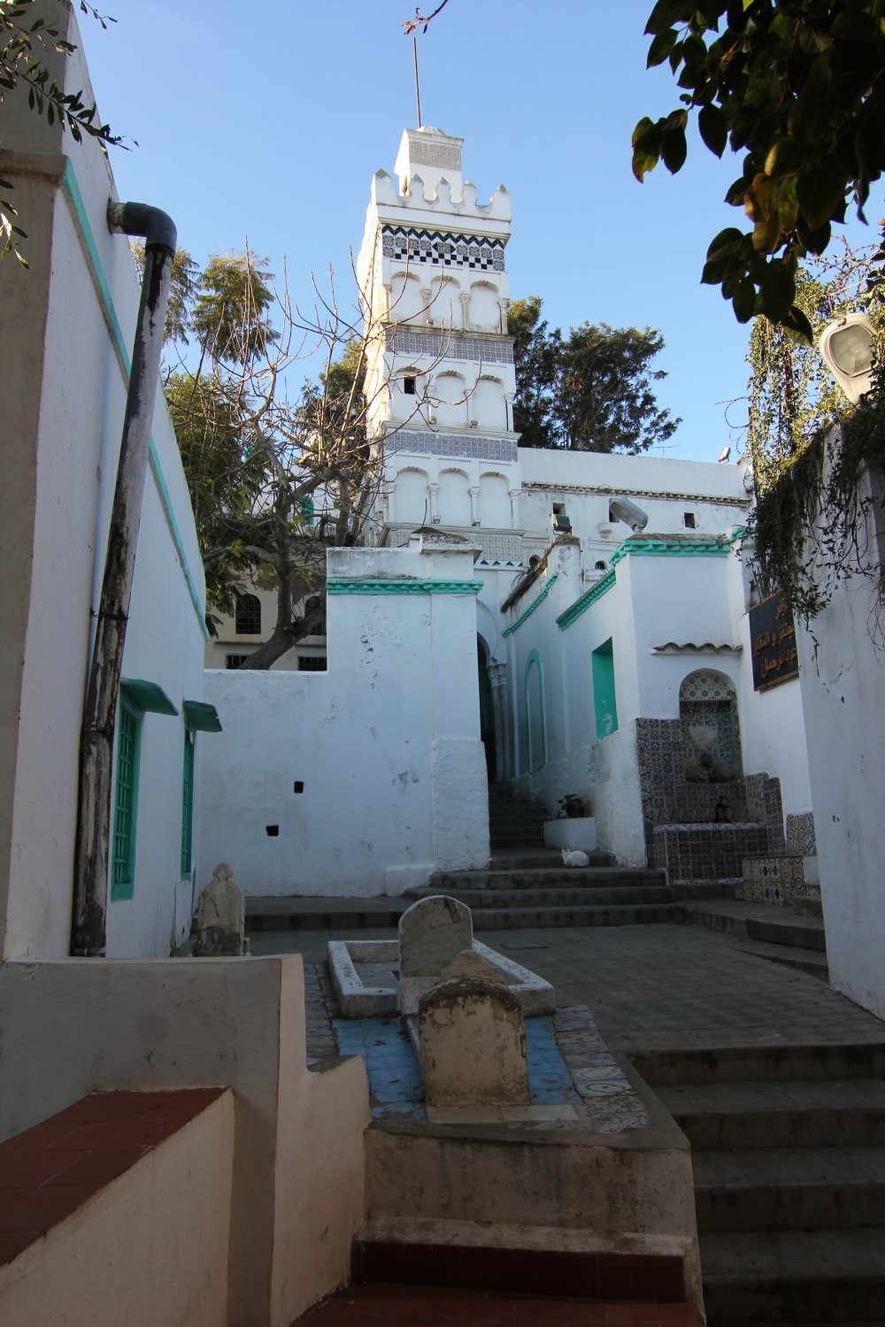 General view of the minaret showing tombs in the foreground