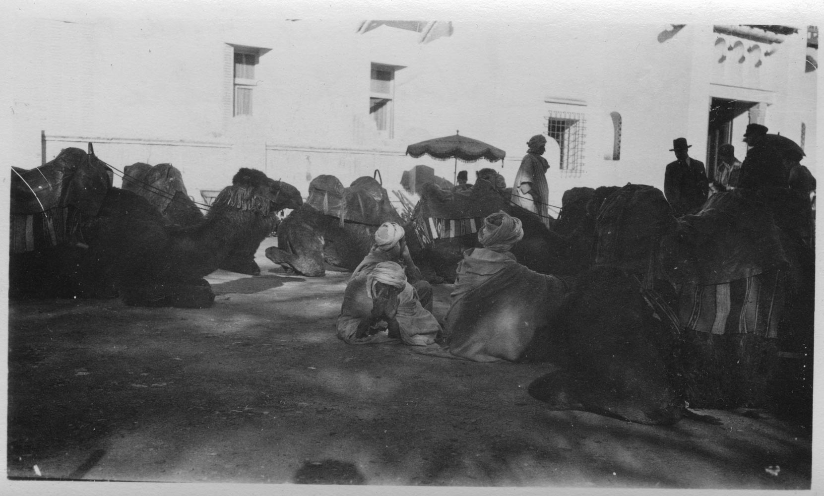 View of camels in the courtyard of the Transatlantique Hotel, Biskra