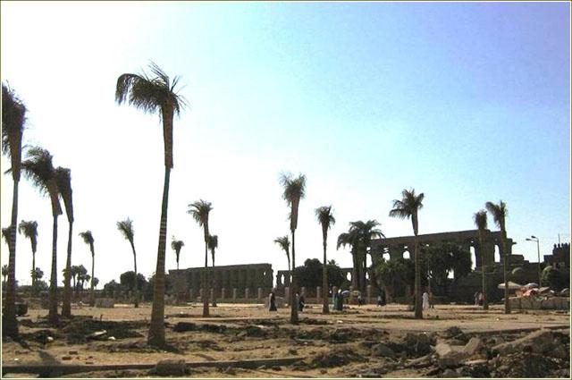 Plantation in Luxor temple plaza