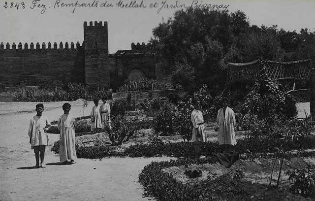 Fez, general view of the Biarnay garden and the city walls in the Mellah quarter / "Fez, Remparts du Mellah et Jardin Biarnay"