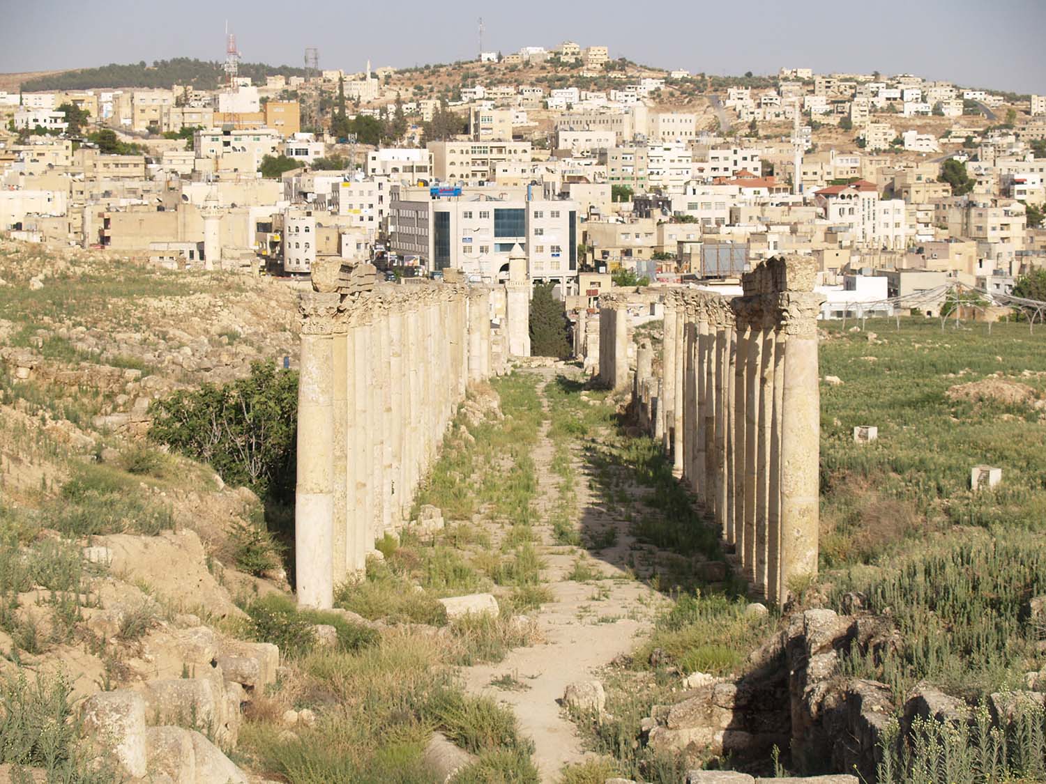 Eastward view of South Decumanus; Al-Hashimi Mosque and modern Jerash in background