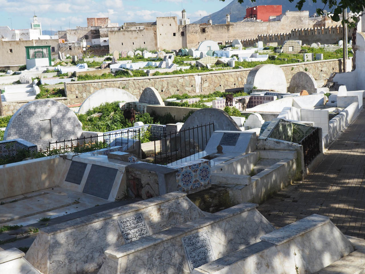 <p>Close view of the tombs with the city and minarets in the background</p>