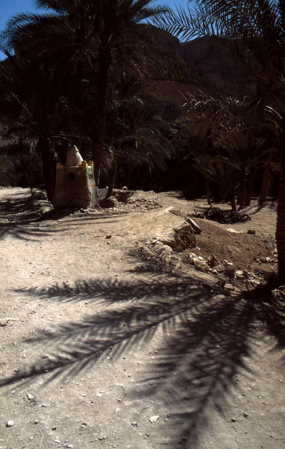 Peggy Crawford - Wadi Doan un Khoreibe. Small monument in a palm grove on the road between Wadi Doan and Al Khuraybah