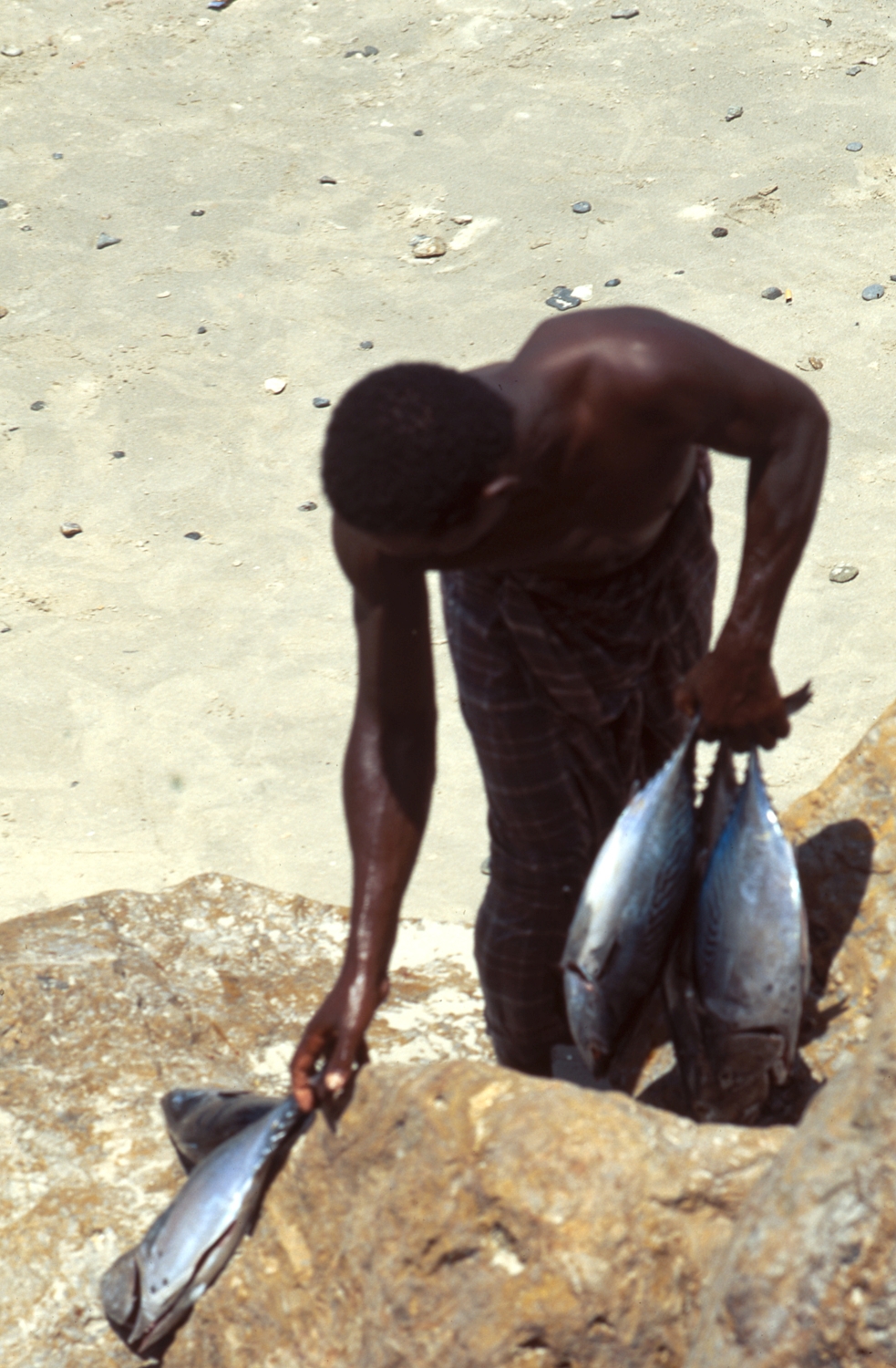 al-Mukalla. Ethnographic views. Fisherman.