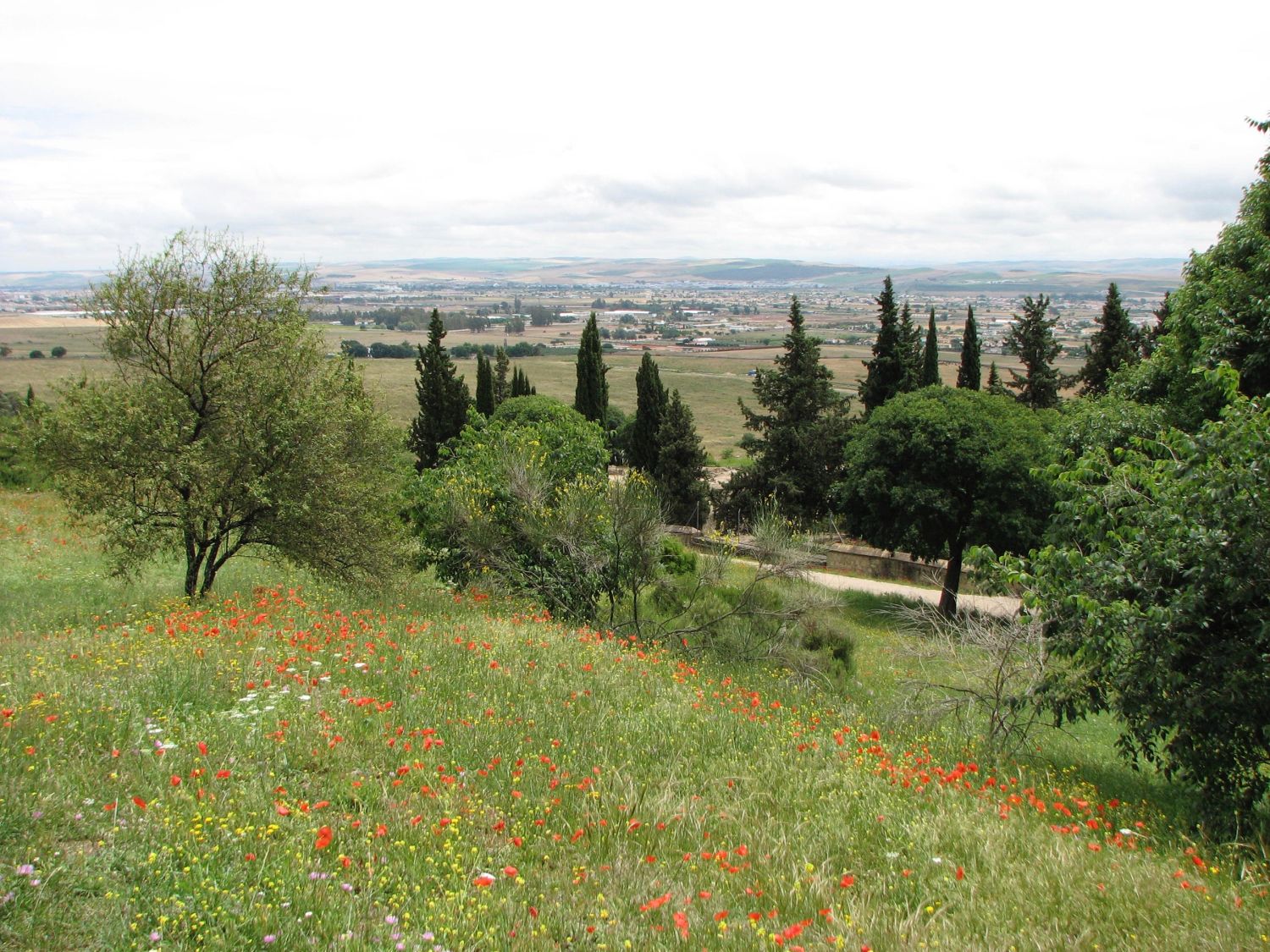 View of Cordoban hinterland from northern wall of Madinat al-Zahra.