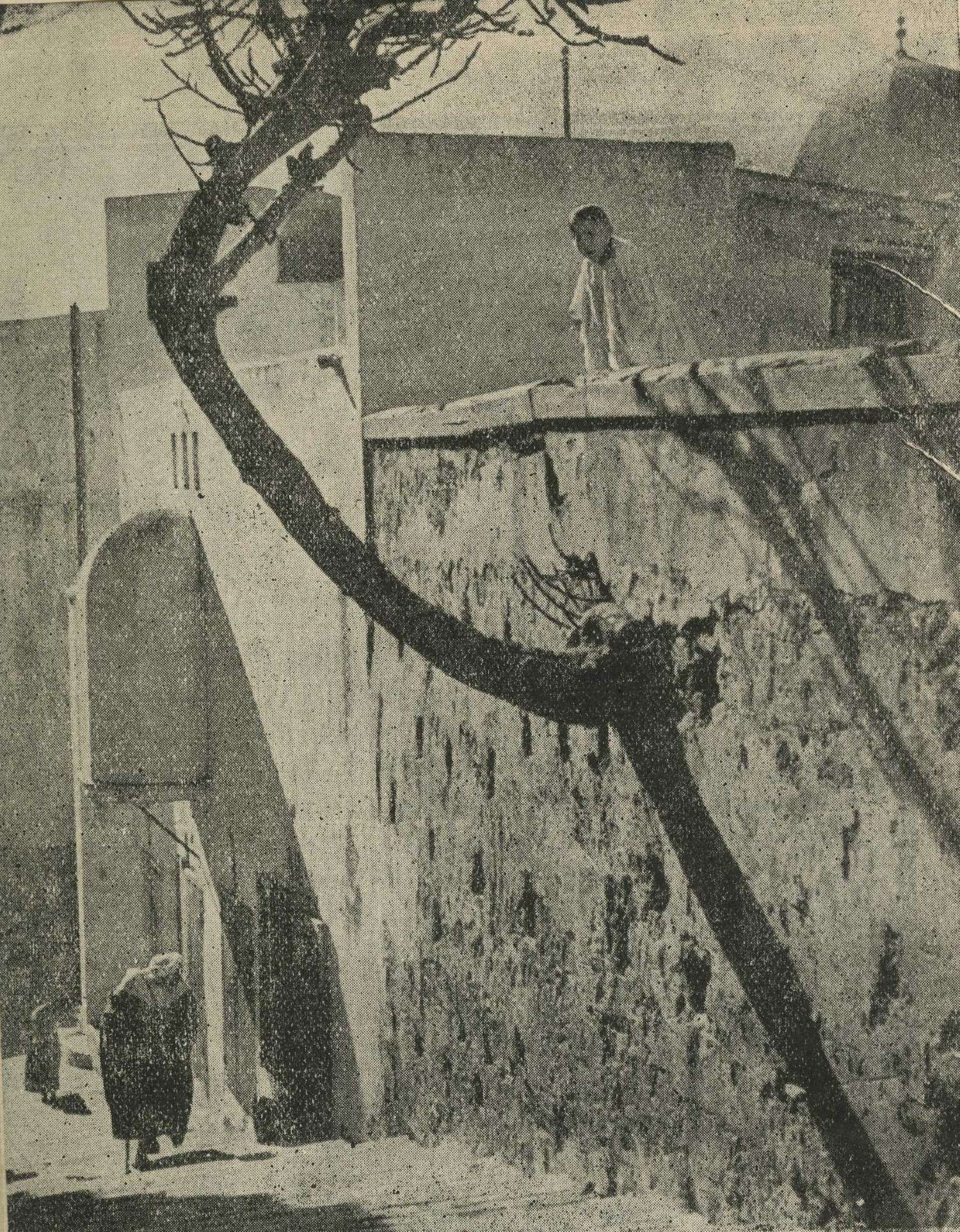 Newspaper photograph. Street view with figures in distance, passing Zawiyya Sidi Ben Raïsul