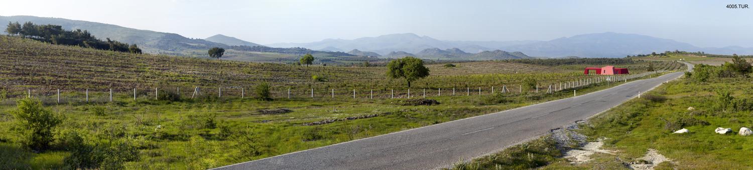 View of the main road