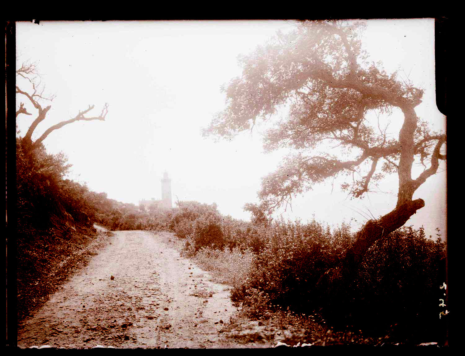 View of the road to the Cap Spartel Lighthouse