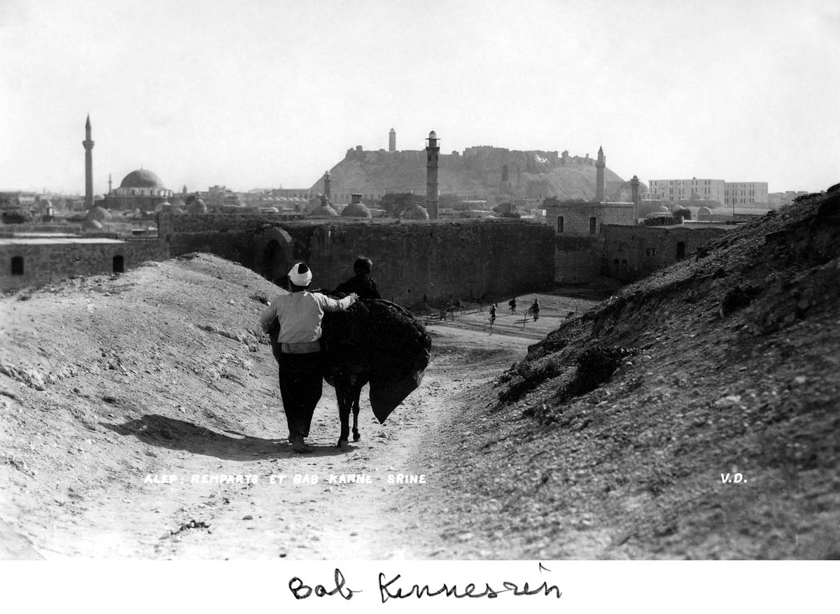 View of a man and his mule on the road approaching the city, the Citadel visible in the rear of the image