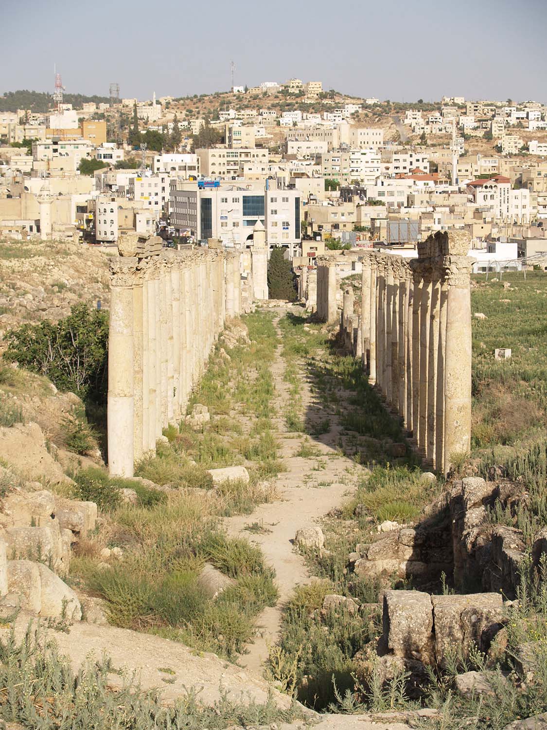 Eastward view of South Decumanus; Al-Hashimi Mosque and modern Jerash in background