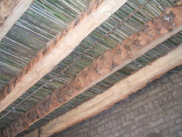 Local traditional materials (palm trunk - leaves) used in the building of the Nubian house