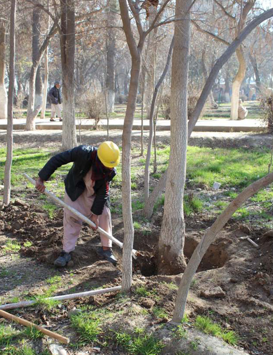 As part of the landscaping works, more than 700 invasive species of plants and trees were removed and the site was replanted with more than 1200 trees and flowers