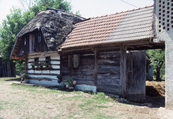 <p>The covered link between the dwelling and the barn (and hay drying loft) sits partially on an older masonry footing and has received a clay tile roof. The valley (where the tile roof meets the straw roofing) shows the difficulty in jointing the materials easily. The plank wall of the link appears to be simple infill between the house and the post that supports the gate leaf. No inner court post is present to support the far lower edge of the link roof.</p>