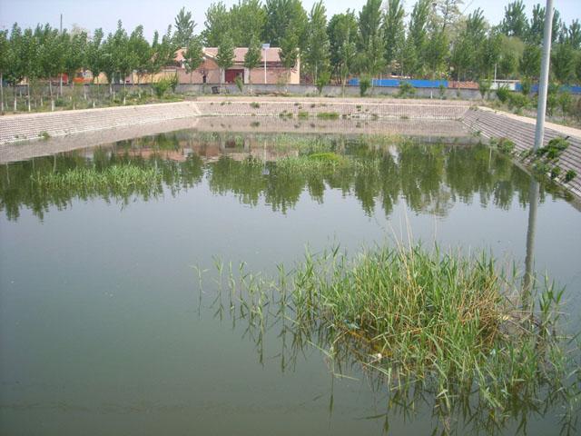 Wetland sewage farm constructed in 2006