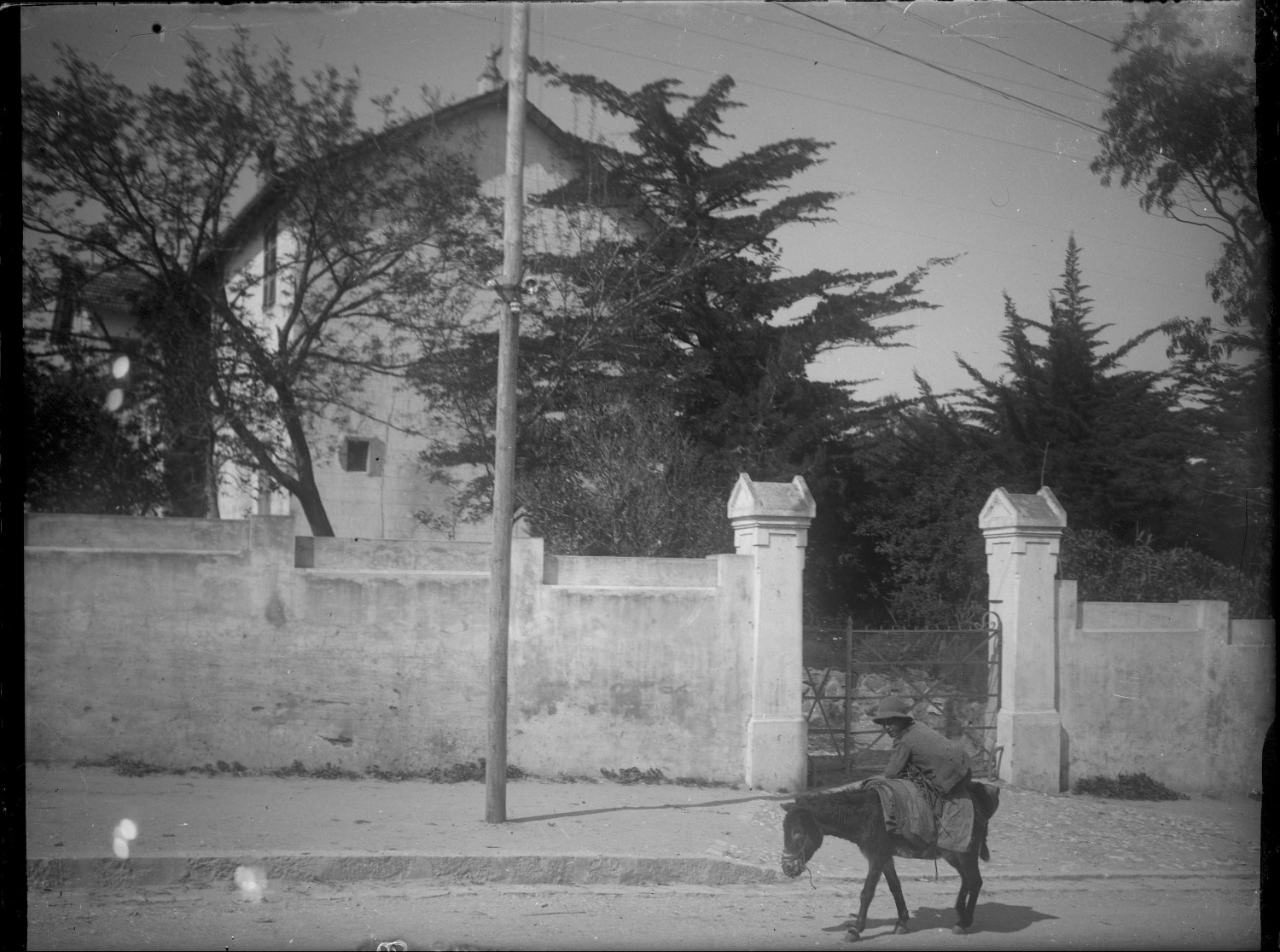 Man on donkey on road in front of French Consulate on Rue de Belgique 
