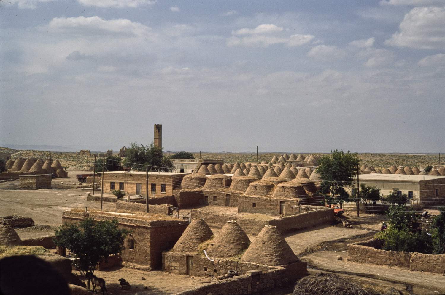 View over town with traditional beehive houses in foreground and minaret of Great Mosque visible in background.