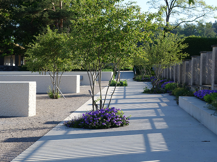 Concrete path with snowy mespils (Amelanchier lamrckii) and roughcast limestone-concrete walls