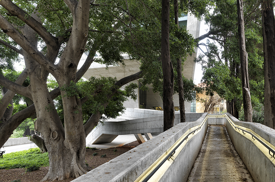 A ramp leads between the centenary aged ficus and cypress trees to connect the research lounges on the second floor directly with the campus

