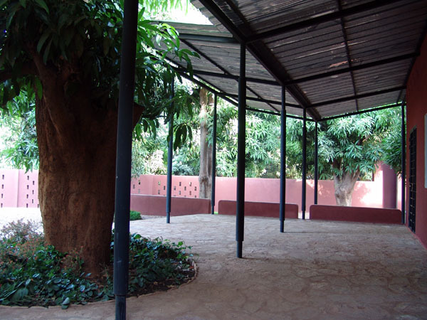 Neighbourhood Library - Porch and mango tree