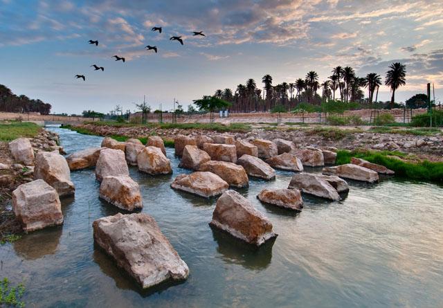 Wadi Hanifa Wetlands: Interview and Introduction