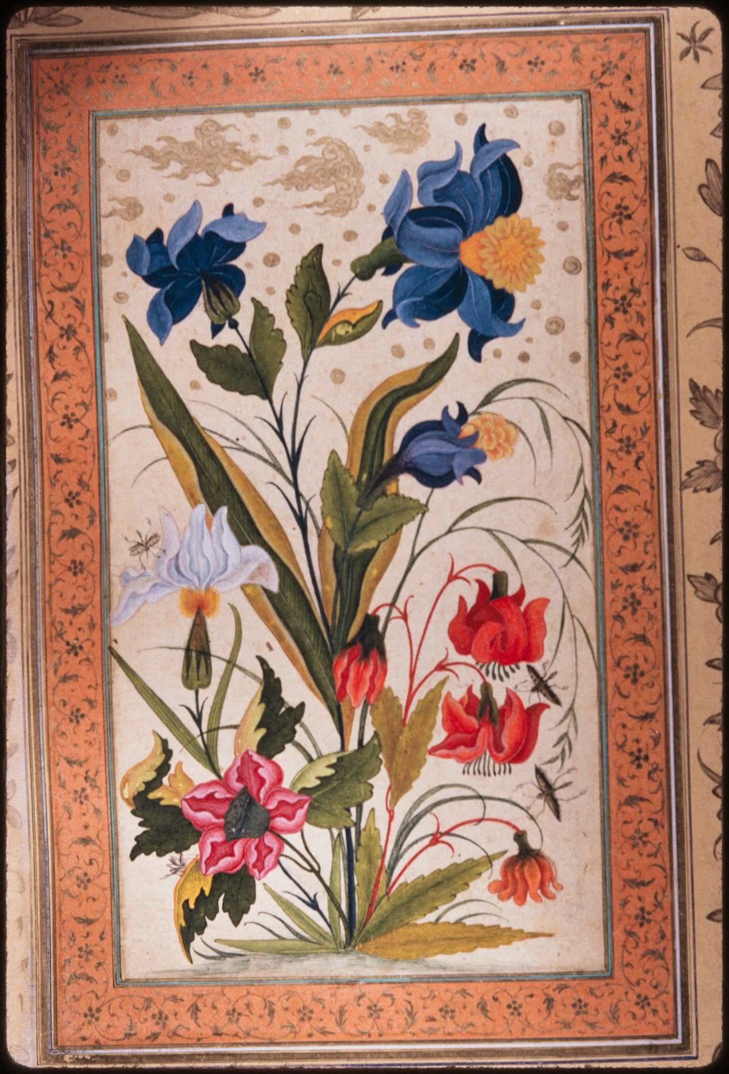 Insects alighting on exotic flowers, f. 49v from the Dara Shikoh Album (British Library Add. Or. 3129)