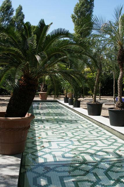 View of mosaic pond surrounded by palm trees during the yearly garden festival in the Valby